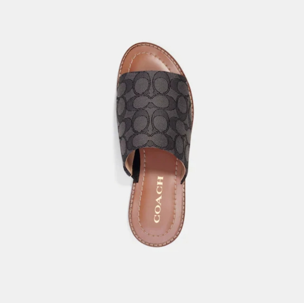 New! Coach Hazel Sandal 👡 🩴